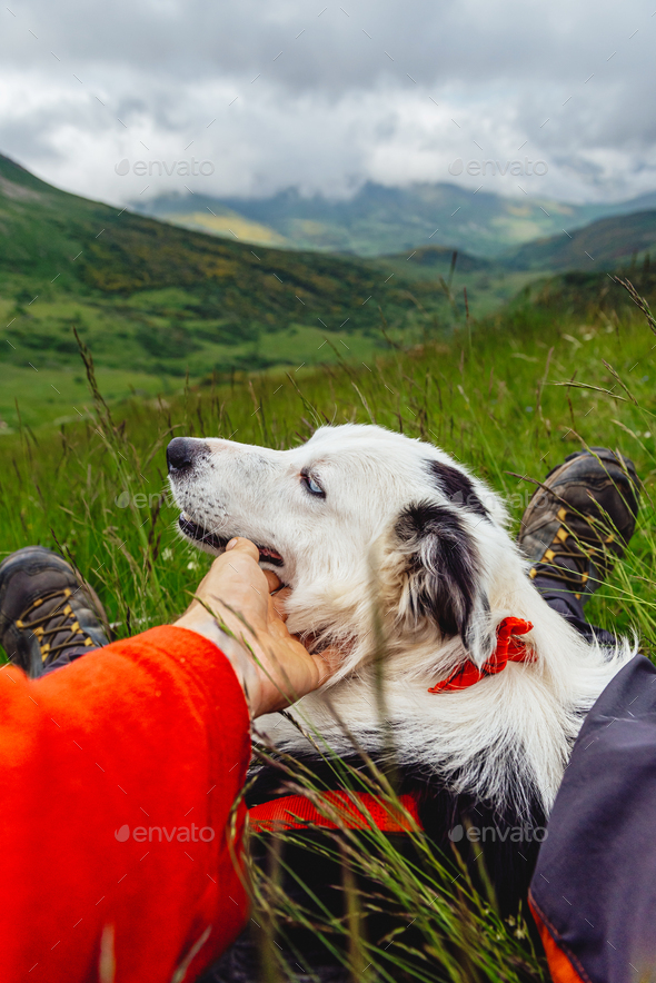 POV of a mountaineer lying on the grass of a mountain Stock Photo by